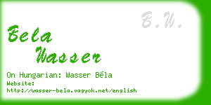 bela wasser business card